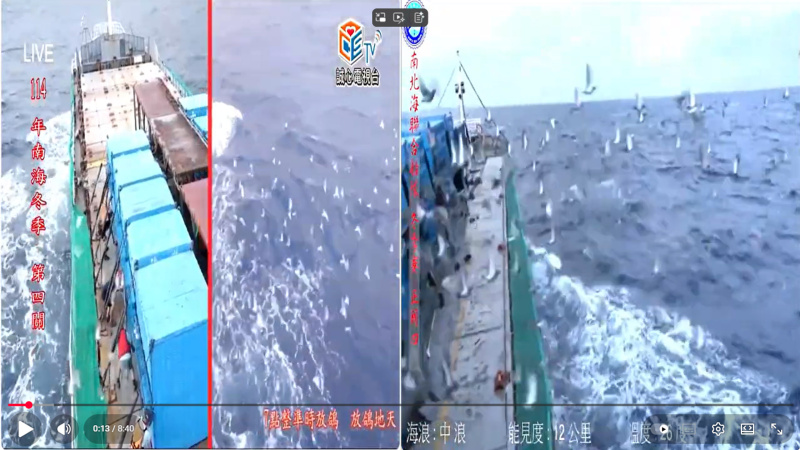 [南海冬季競翔]2025年11/09(日) 第四關