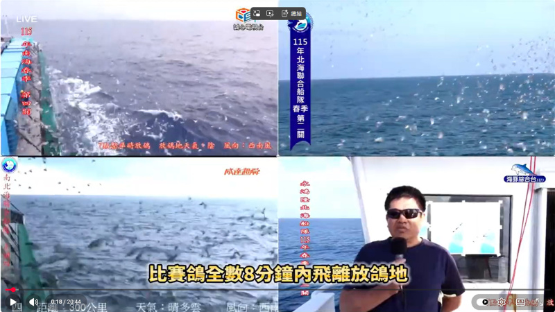 2026年3月29日春季競翔【北海第二關】【南海第四關】上午7:00放鴿