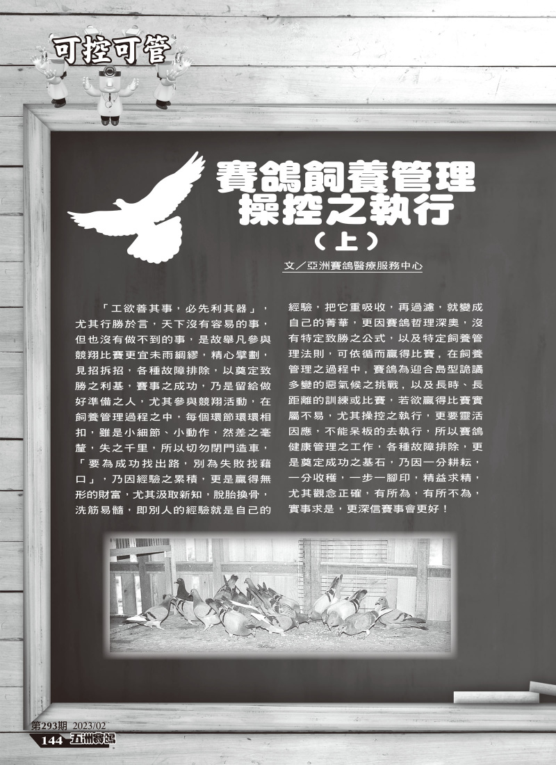 賽鴿飼養管理操控之執行[本網站發佈:五洲賽鴿雜誌之圖文.皆經五洲李社長授權同意使用]