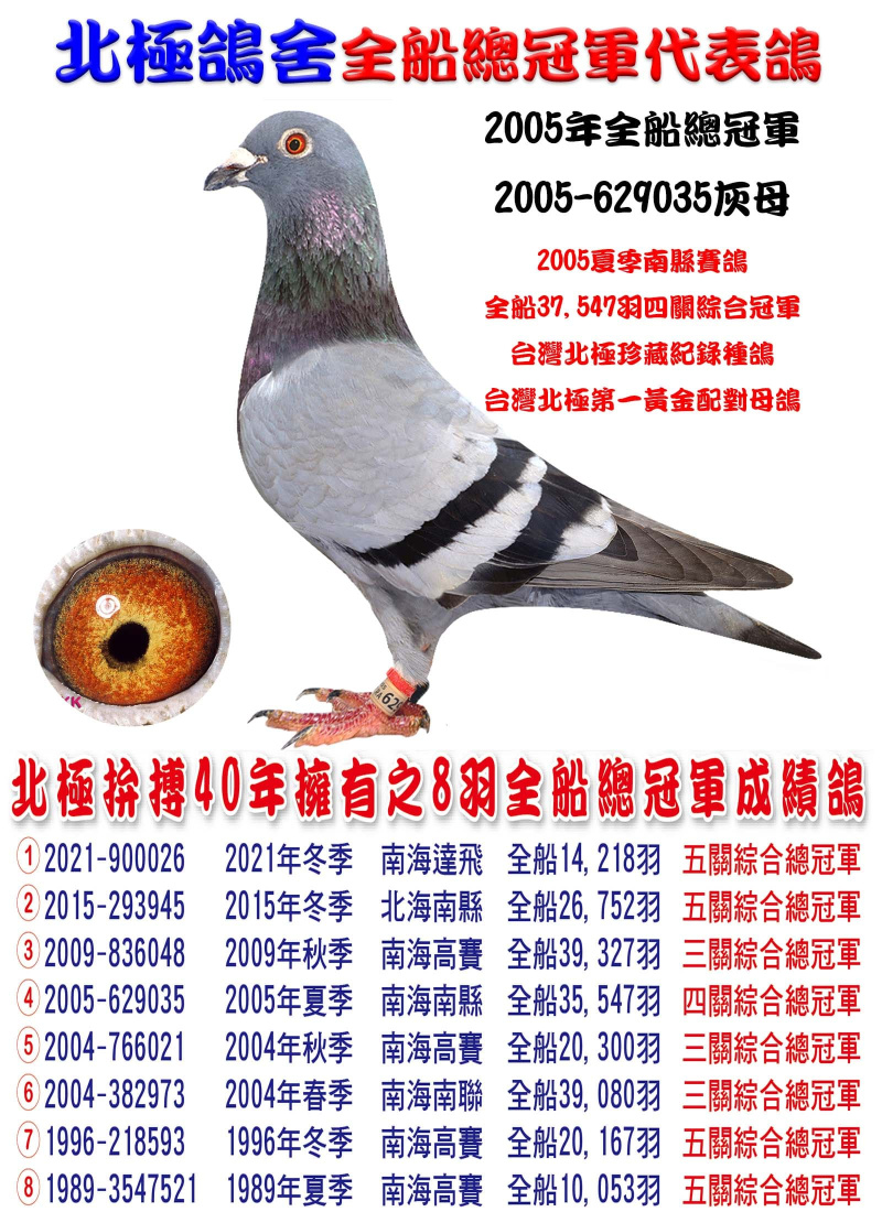 2005年全船總冠軍 2005-629035灰母