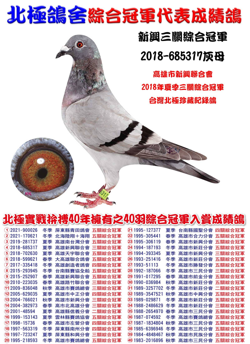 新興三關綜合冠軍 2018-685317灰母