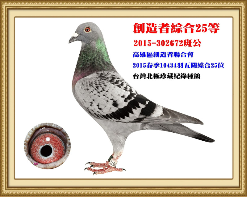 創造者綜合25等 2015-302672斑公