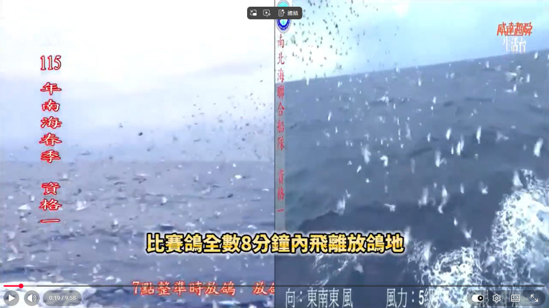 115年南海聯合船隊春季 03/01(日)【資格一】上午7:00放鴿