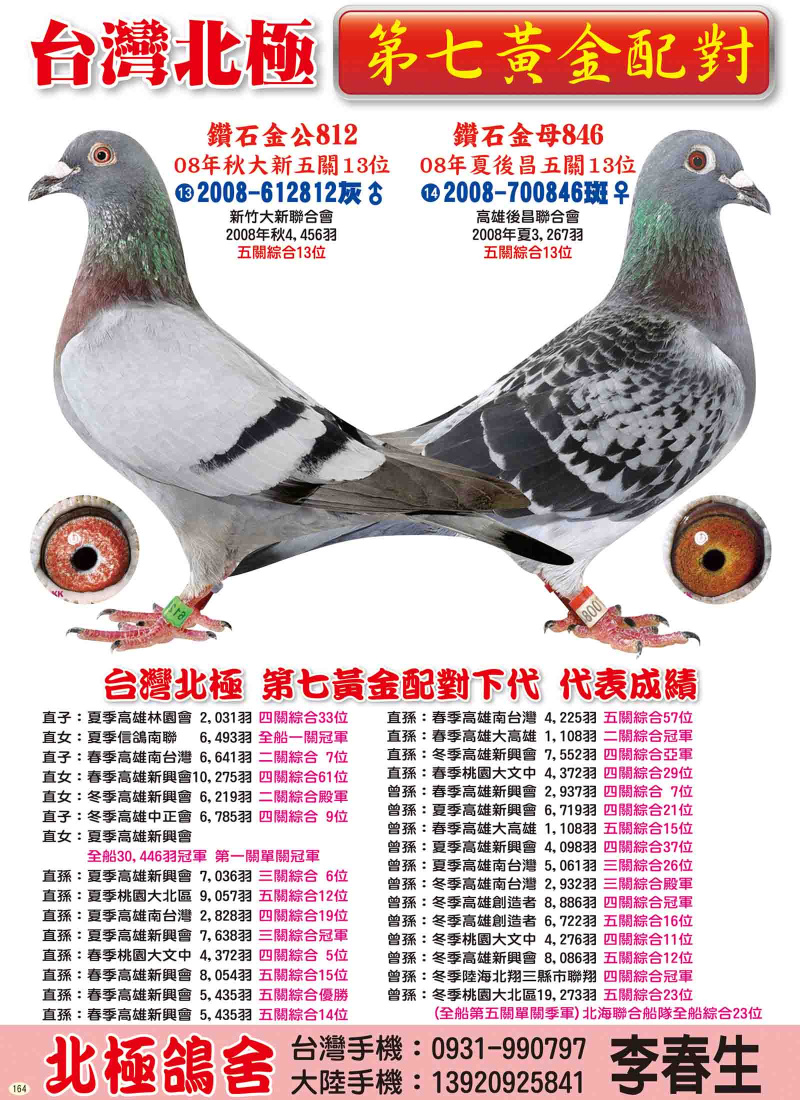 第七黃金配對