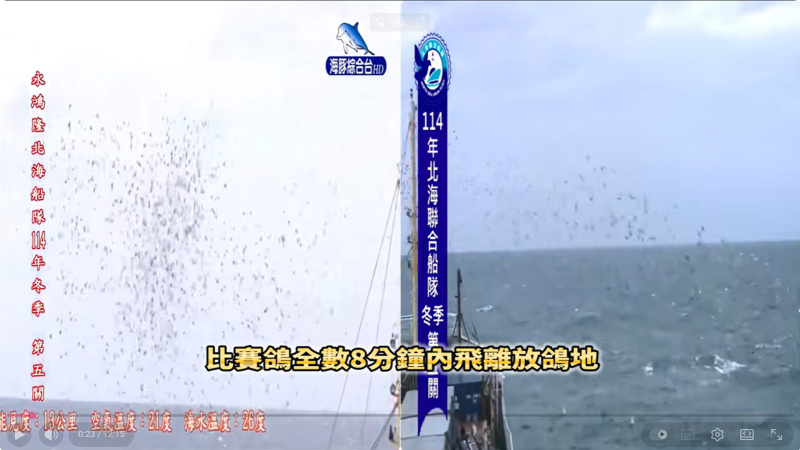 2025年北海冬季競翔【第五關】【中海正六關】12/10(三)7:30分放鴿