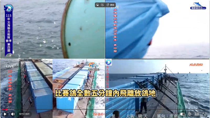 2026年4月12日春季競翔【北海第四關】【南海第五關】上午7:00放鴿