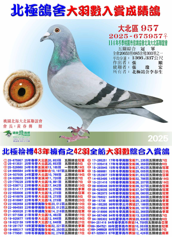 桃園大北區全會20,653羽五關綜合冠軍 2025-675957灰♀