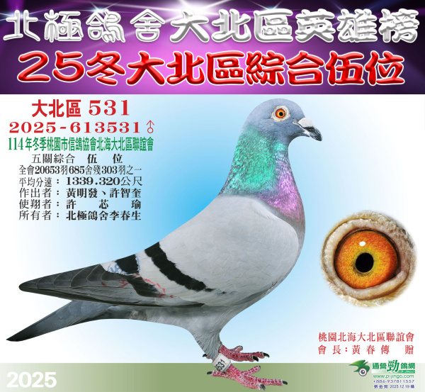 大北區英雄榜-25冬大北區綜合伍位[2025-613531灰♂]