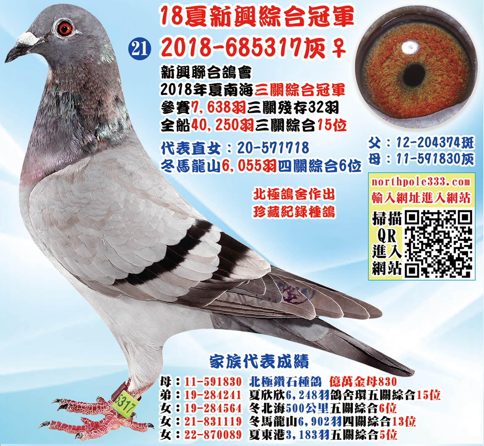 18夏新興綜合冠軍 18夏新興綜合冠軍