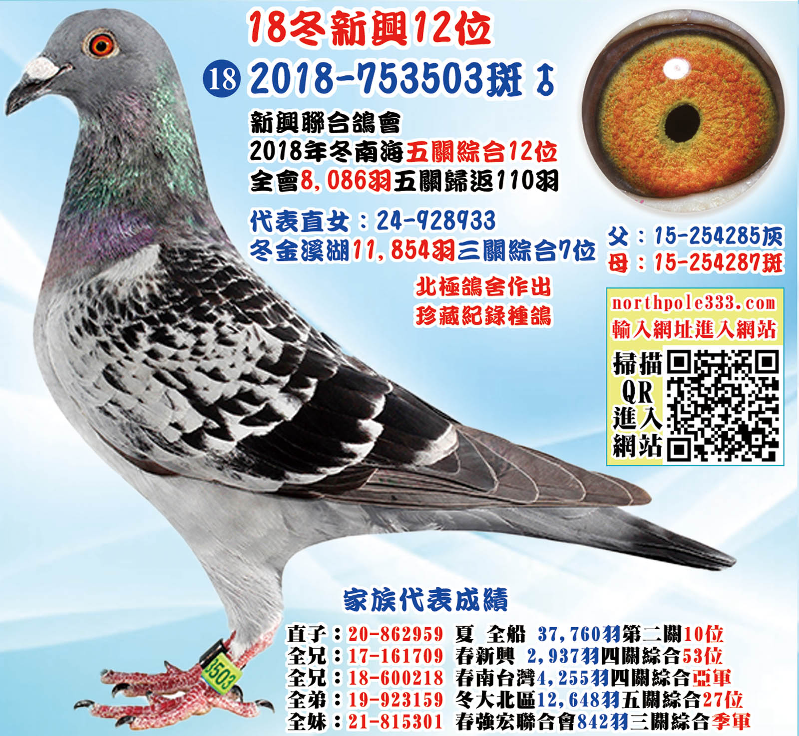 18冬新興12位 18冬新興12位